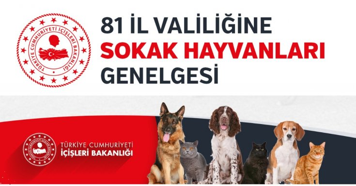 81 İl Valiliğine Bakanlıktan Sokak Hayvanları Talimatı