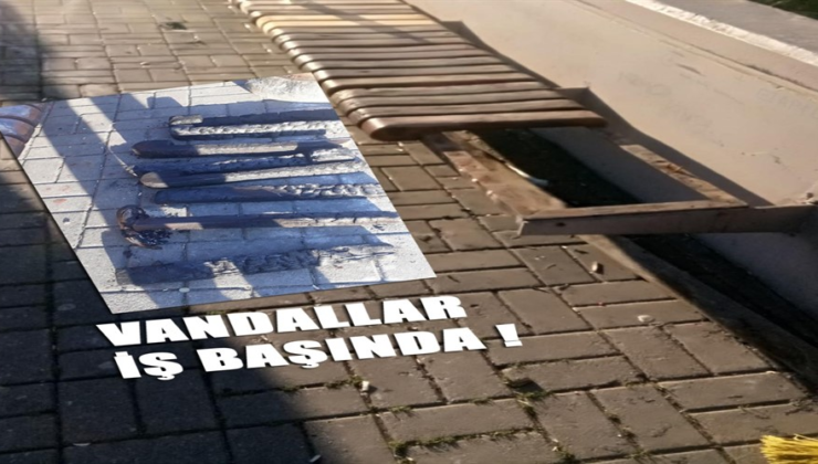 Parkın Bankları Vandallar Tarafından Yeniden Yakıldı