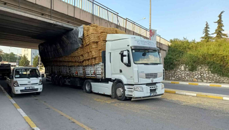 Fazla Yük Taşıyan Tır Alt Geçide Sıkıştı