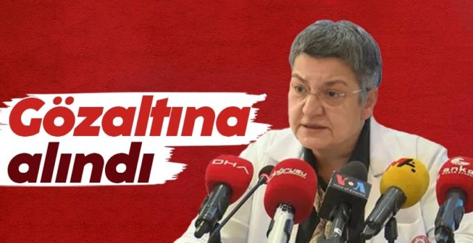 TTB Başkanı Şebnem Korur Fincancı Tutuklandı