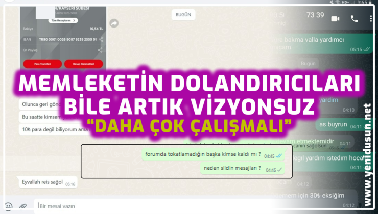 MEMLEKETİN DOLANDIRICILARI BİLE ARTIK VİZYONSUZ