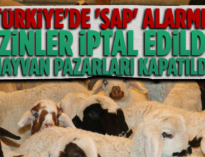 Şap Alarmı ! Hayvan Pazarları Kapatıldı