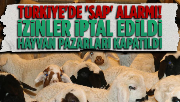 Şap Alarmı ! Hayvan Pazarları Kapatıldı