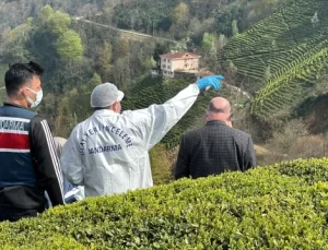 Rize Çayeli’nde Şok Edici Olay: Yaş Çay Bahçesinde Erkek Cesedi Bulundu