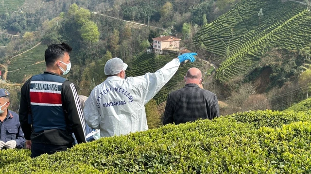 Rize Çayeli’nde Şok Edici Olay: Yaş Çay Bahçesinde Erkek Cesedi Bulundu