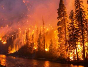 Altınova İtfaiyesi’nden orman yangını uyarısı