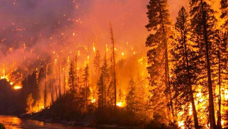 Altınova İtfaiyesi’nden orman yangını uyarısı
