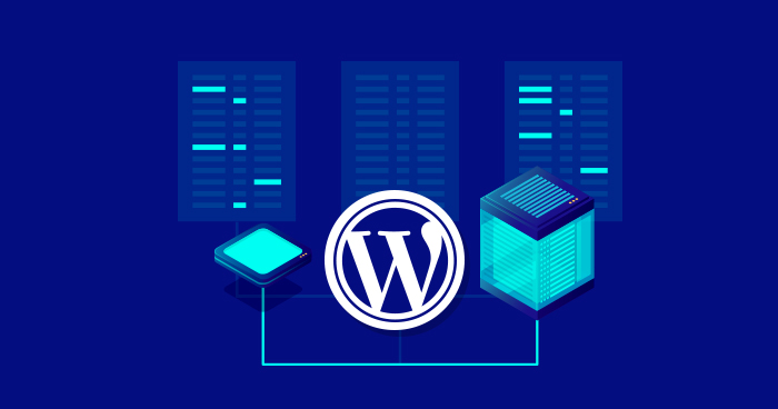 WordPress Hosting Seçerken Nelere Dikkat Edilmeli? - Yeni Düşün Haber WordPress Hosting