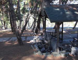Yalova’da Alkollü Genç Mahallede Olay Çıkardı: Parkı Birbirine Kattı
