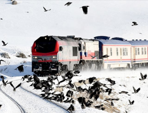 Cihans Travel’dan Uçaklı, Trenli ve Otobüslü Doğu Ekspresi Turu: Van’dan Kars’a Efsane Rota