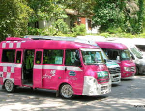 Yalova’da Yeni Hastaneye 2 Minibüs Hattı Düzenlendi