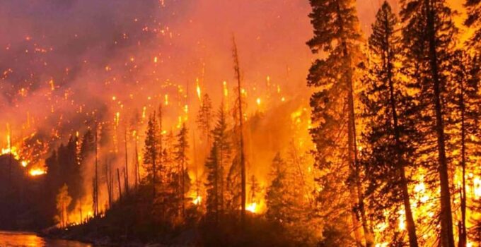 Altınova İtfaiyesi’nden orman yangını uyarısı