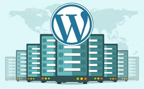 WordPress Hosting Seçerken Nelere Dikkat Edilmeli?