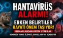 Hantavirüs Alarmı: Erken Belirtiler Hayati Önem Taşıyor! Uzmanlardan Kritik Uyarı